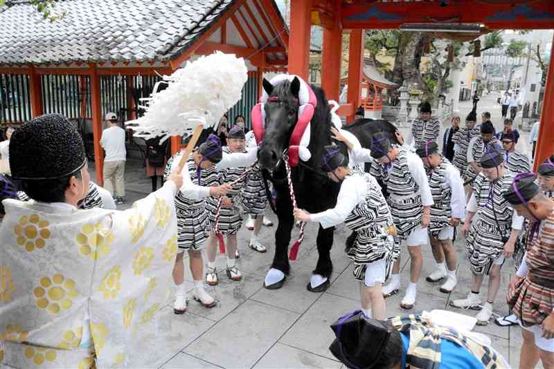 八代妙見祭の注連卸でおはらいを受ける神馬＝1日、八代市