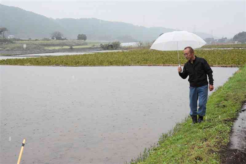 水を張った瀬田地区の農地を見て回る瀬川友次会長＝1日、大津町