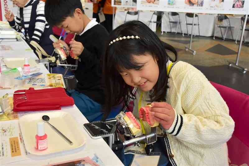 模型を使ってブラッシングの体験をする来場者＝9日、熊本市中央区