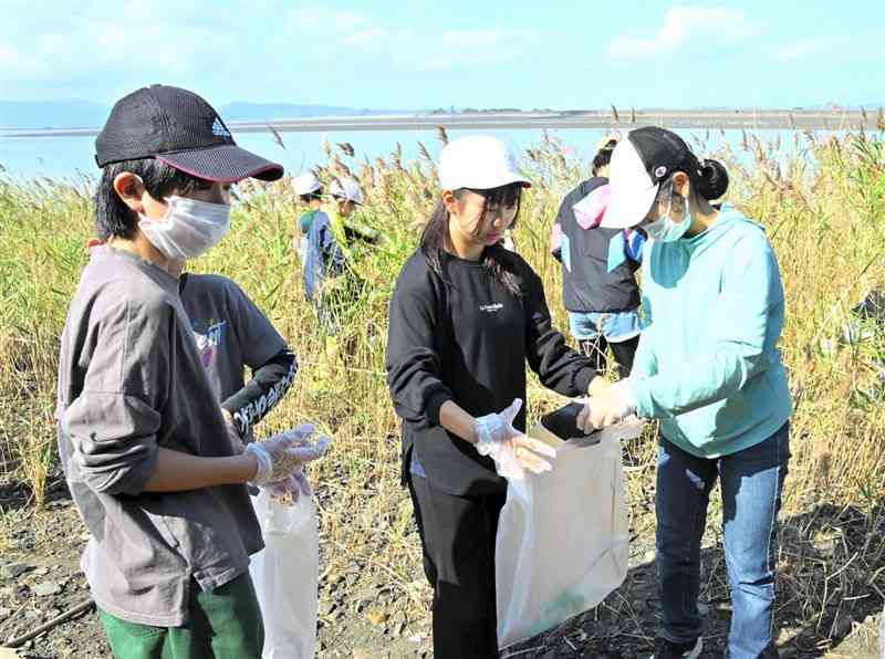 水島近くの球磨川河口一帯でごみを拾う児童＝12日、八代市