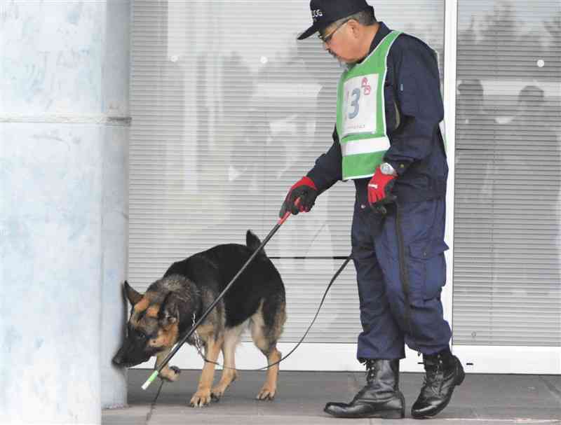 嗅覚を駆使し、爆発物を探す嘱託警察犬＝16日、菊陽町