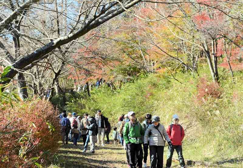 水源涵養林の「阿蘇大観の森」であった紅葉祭で散策を楽しむ参加者ら＝23日、阿蘇市