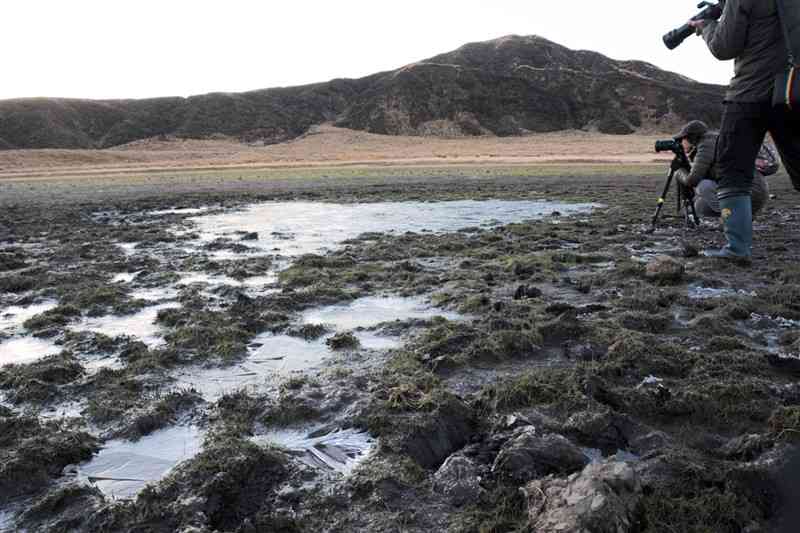 草千里ケ浜の水たまりにできた氷。奥は烏帽子岳＝24日午前7時ごろ