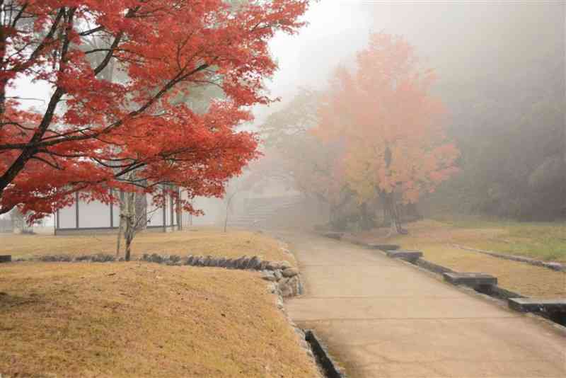 朝霧に包まれた人吉城跡の紅葉＝6日、人吉市