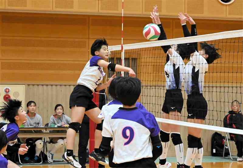 熊日旗城北地区小学生バレーボール大会の女子決勝で熱戦を繰り広げる選手たち＝8日、山鹿市