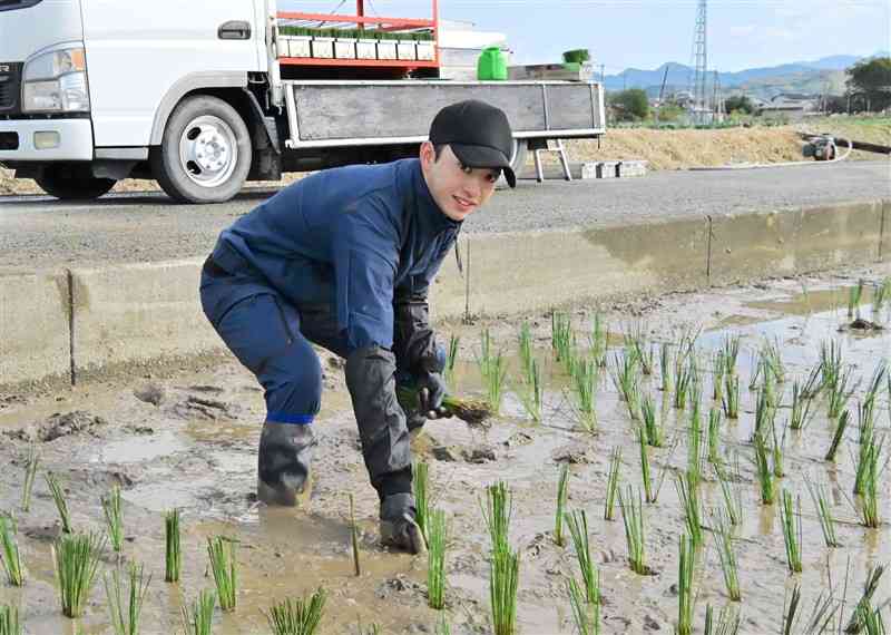 イ草の苗を植え付ける就農3年目の溝口善大さん＝八代市