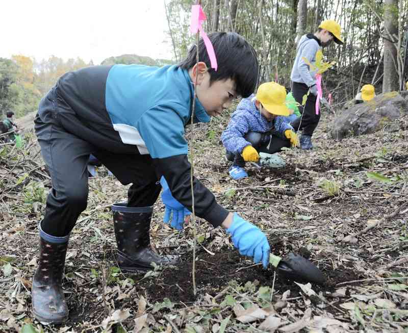 苗木の根元に土をかぶせる球磨清流学園の児童たち＝20日、球磨村