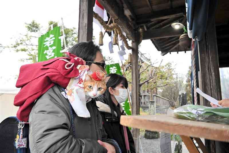 ペットを連れた参拝者でにぎわったガランザサ祭り＝6日、山鹿市