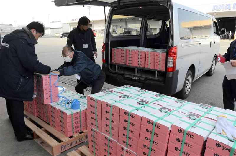 JA熊本経済連が香港に空輸した県独自品種のイチゴ「ゆうべに」。熊本空港からの青果物輸出第1号となった＝14日、益城町