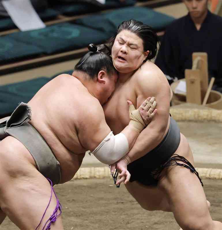 荒篤山（左）と対戦する草野＝22日、両国国技館