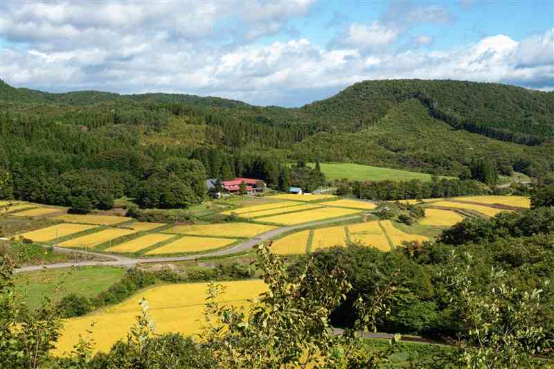 田んぼなどの農地や、人の手が入った森林などからなる里山＝岩手県一関市（佐藤良平さん提供）