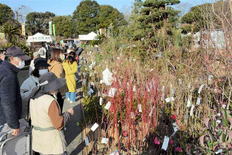 来場者でにぎわう「JA植木まつり」の会場＝25日、合志市