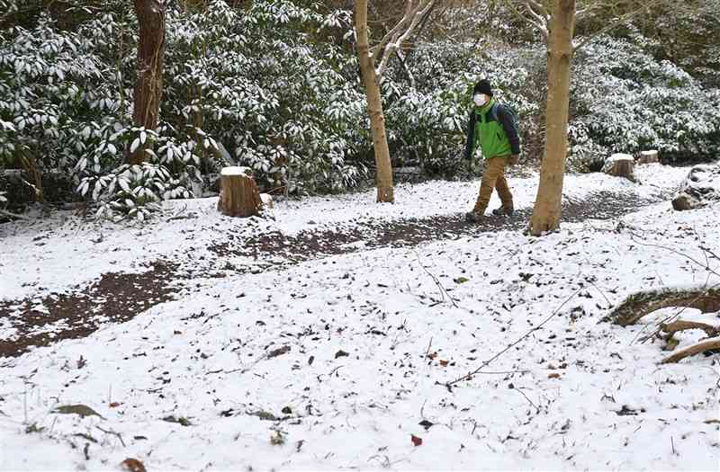 雪化粧した金峰山登山道＝29日午前10時半ごろ、熊本市西区（谷川剛）