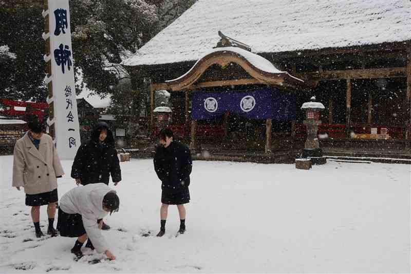 青井阿蘇神社の境内で雪遊びをする修学旅行中の高校生＝5日午前11時40分ごろ、人吉市（東寛明）