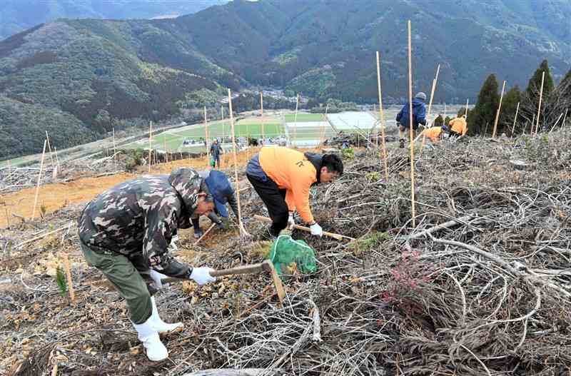 山鹿市の伐採地跡に植林をする参加者＝10日