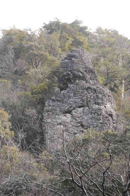 万江川上流の左岸から見上げた斜面にある「ゴリラ岩」。上部が、上向き加減に横を向くゴリラの顔に見える＝15日、山江村