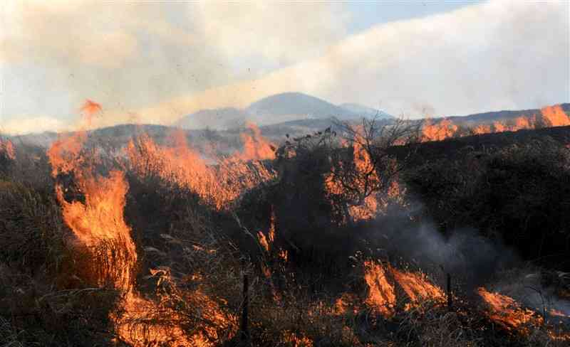 火が放たれて黒く染まる黒川牧野。奥は杵島岳＝23日、阿蘇市