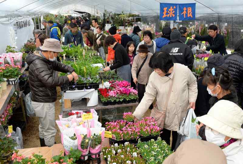 第46回 ｊａ植木まつり イベント情報 A 熊本日日新聞社