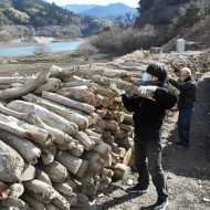 豪雨の流木 無償で提供 県市房ダム管理所 薪やアート材料など有効活用を 熊本日日新聞社