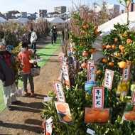 くまもと春の植木市開幕 コロナ疲れ癒やして 熊本日日新聞社