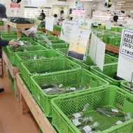 長雨 県内に打撃 農作物 生育遅れ品薄 熊本市の売り場は高値傾向に 熊本日日新聞社