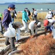 水害復旧へ球磨川河口で流木拾い 八代市と山江村の児童 海と山で協力 熊本日日新聞社