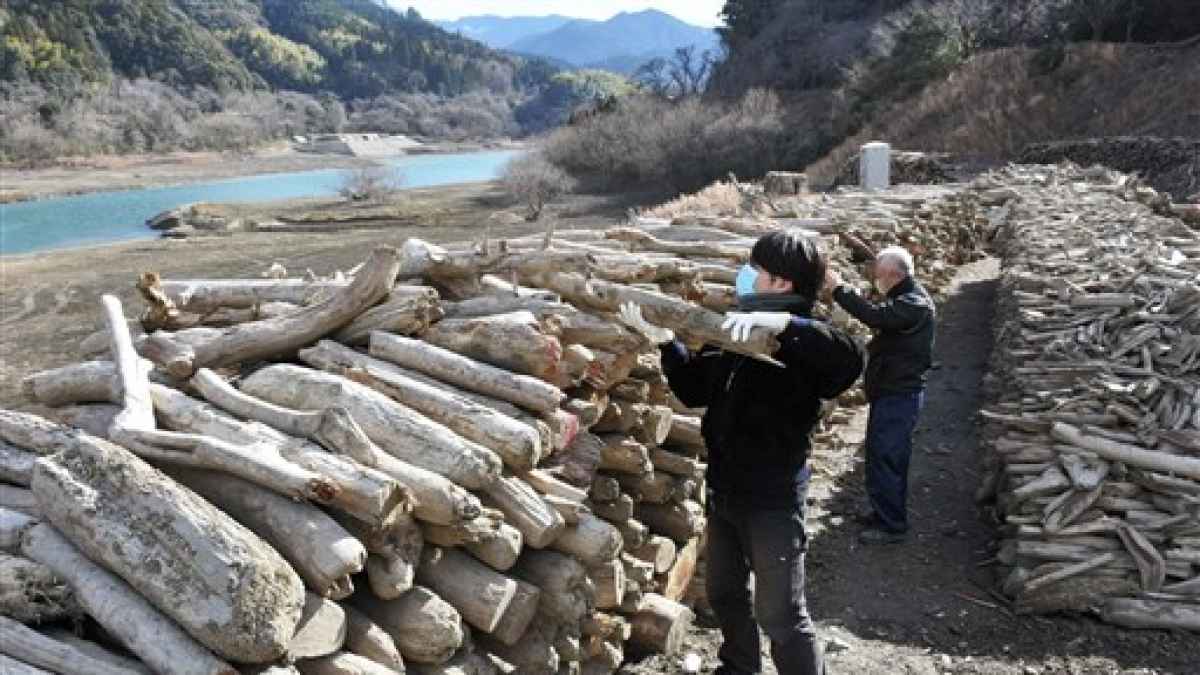 豪雨の流木 無償で提供 県市房ダム管理所 薪やアート材料など有効活用を 熊本日日新聞社