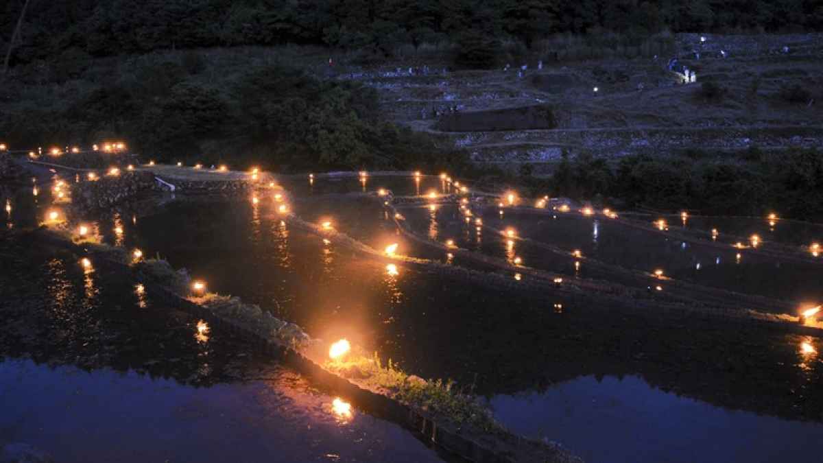 棚田照らす炎、幻想的な光景楽しむ 水俣市 ｜熊本日日新聞社