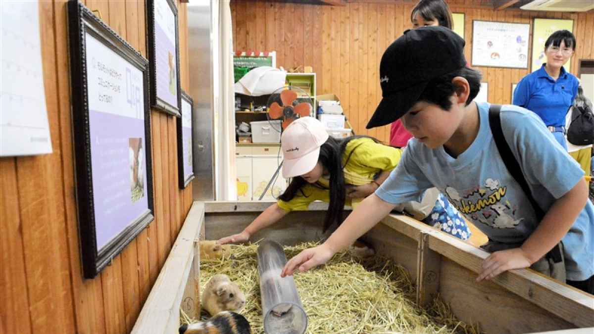 動物にも「快適な環境」を 熊本市動植物園、アニマルウェルフェア向上