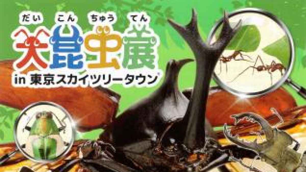 最大64％オフ！ 匿名発送 大昆虫展 招待券2枚組 7 15～9 3＠スカイ